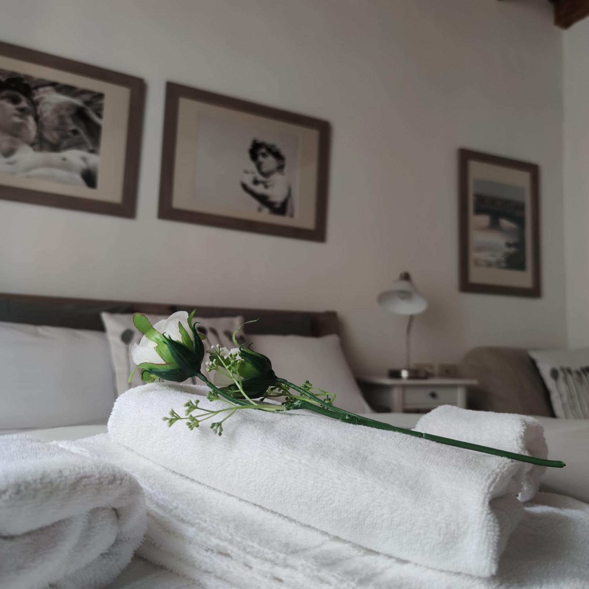 Dante'S Relais Hotell Firenze Rom bilde